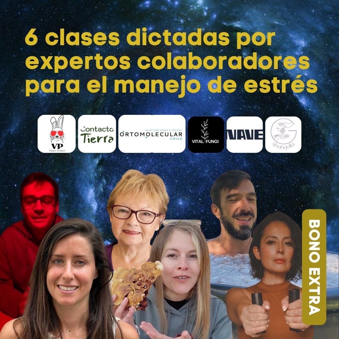 Curso Online Kalma: Tu guía antiestrés